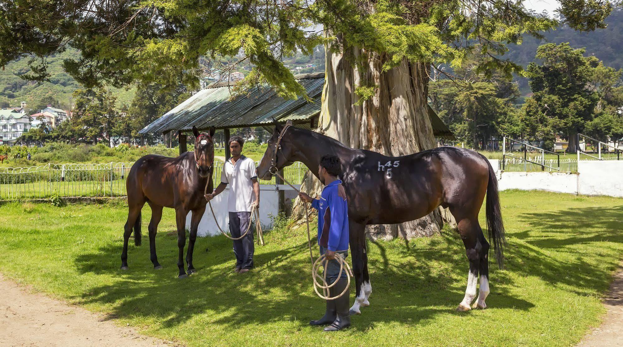 Hill Rise Luxury Villa & Stables By Edwards Collection Nuwara Eliya Dış mekan fotoğraf